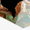 tirages photo ultraHD