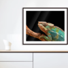 IMPRESSION AFFICHE SUR REGULUS