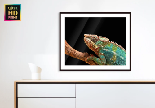 IMPRESSION AFFICHE SUR REGULUS